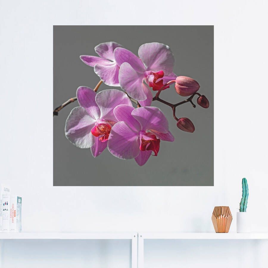 Artland Artprint Orchideeën Droom als artprint op linnen muursticker in verschillende maten