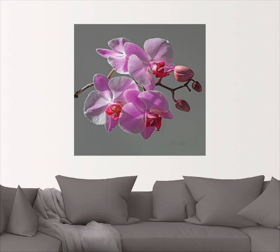 Artland Artprint Orchideeën Droom als artprint op linnen muursticker in verschillende maten