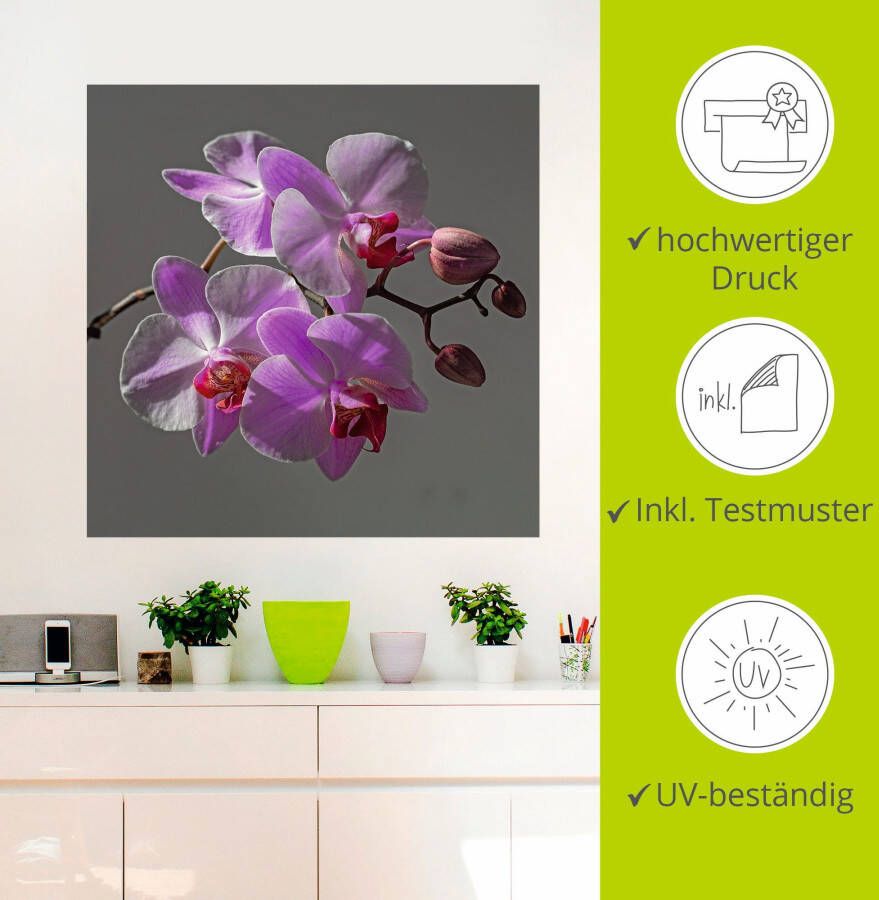 Artland Artprint Orchideeën Droom als artprint op linnen muursticker in verschillende maten