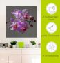 Artland Artprint Orchideeën Droom als artprint op linnen muursticker in verschillende maten - Thumbnail 4