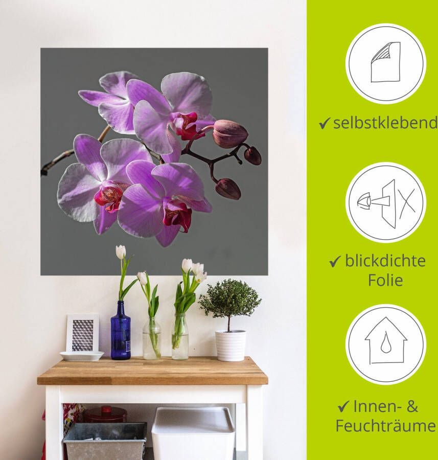 Artland Artprint Orchideeën Droom als artprint op linnen muursticker in verschillende maten