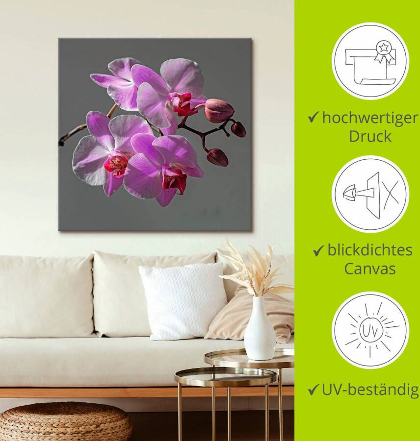 Artland Artprint Orchideeën Droom als artprint op linnen muursticker in verschillende maten