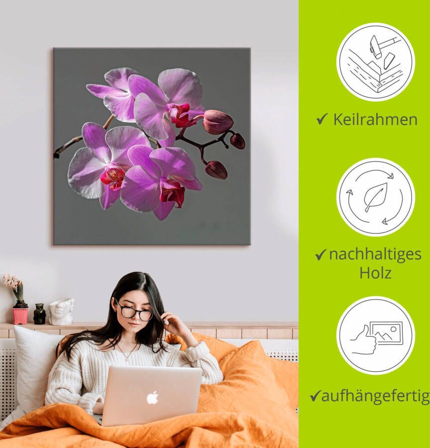 Artland Artprint Orchideeën Droom als artprint op linnen muursticker in verschillende maten