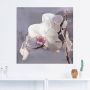 Artland Artprint Orchideeën voor violet I als artprint van aluminium artprint voor buiten artprint op linnen poster muursticker - Thumbnail 3