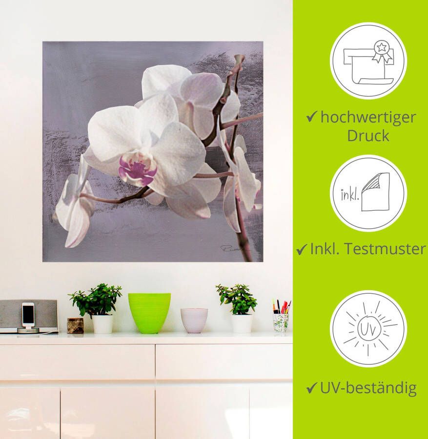 Artland Artprint Orchideeën voor violet I als artprint van aluminium artprint voor buiten artprint op linnen poster muursticker