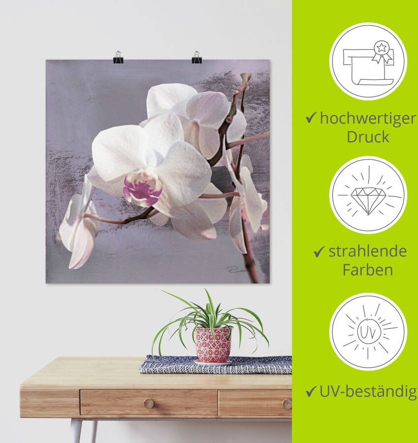 Artland Artprint Orchideeën voor violet I als artprint van aluminium artprint voor buiten artprint op linnen poster muursticker