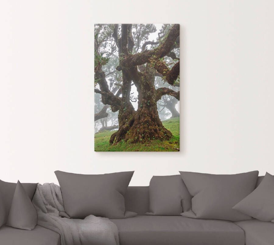 Artland Artprint Oude laurierboom als artprint op linnen poster in verschillende formaten maten