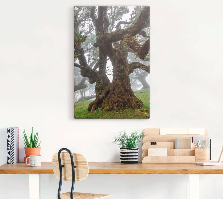 Artland Artprint Oude laurierboom als artprint op linnen poster in verschillende formaten maten