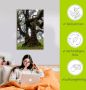 Artland Artprint Oude laurierboom als artprint op linnen poster in verschillende formaten maten - Thumbnail 4