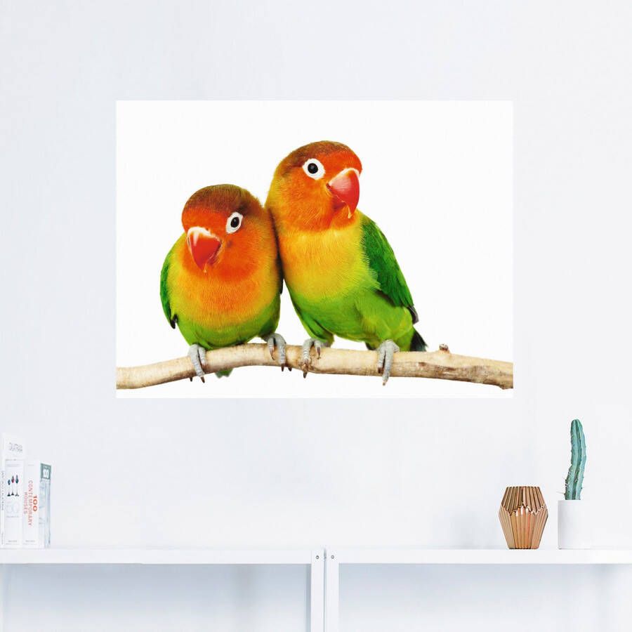 Artland Artprint Paar grijskop papegaaien als artprint op linnen poster muursticker in verschillende maten - Foto 2