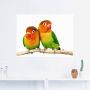 Artland Artprint Paar grijskop papegaaien als artprint op linnen poster muursticker in verschillende maten - Thumbnail 2