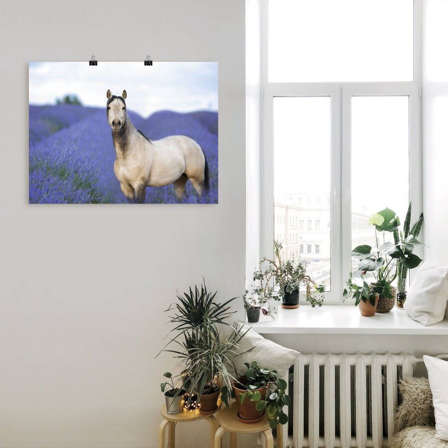 Artland Artprint Paard en bloemen III als artprint op linnen poster in verschillende formaten maten