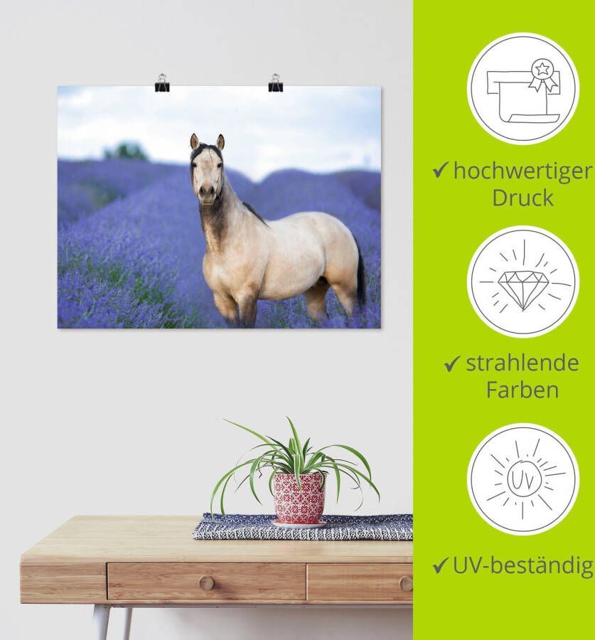 Artland Artprint Paard en bloemen III als artprint op linnen poster in verschillende formaten maten