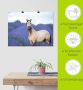 Artland Artprint Paard en bloemen III als artprint op linnen poster in verschillende formaten maten - Thumbnail 6