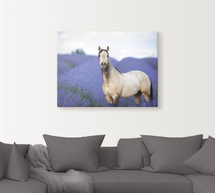 Artland Artprint Paard en bloemen III als artprint op linnen poster in verschillende formaten maten