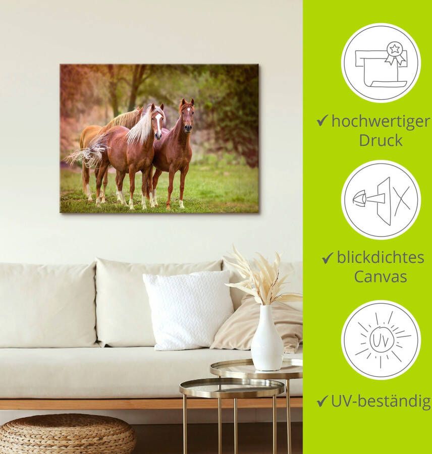 Artland Artprint Paarden in de velden I als artprint op linnen poster muursticker in verschillende maten