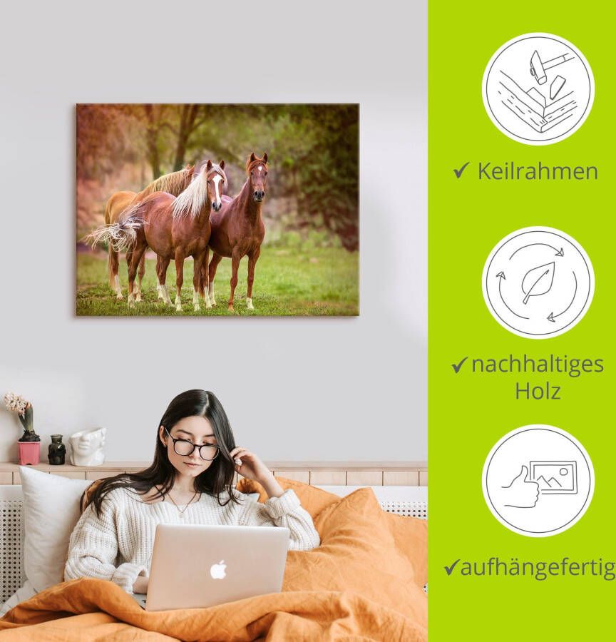 Artland Artprint Paarden in de velden I als artprint op linnen poster muursticker in verschillende maten