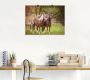 Artland Artprint Paarden in de velden I als artprint op linnen poster muursticker in verschillende maten - Thumbnail 2