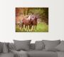 Artland Artprint Paarden in de velden I als artprint op linnen poster muursticker in verschillende maten - Thumbnail 2