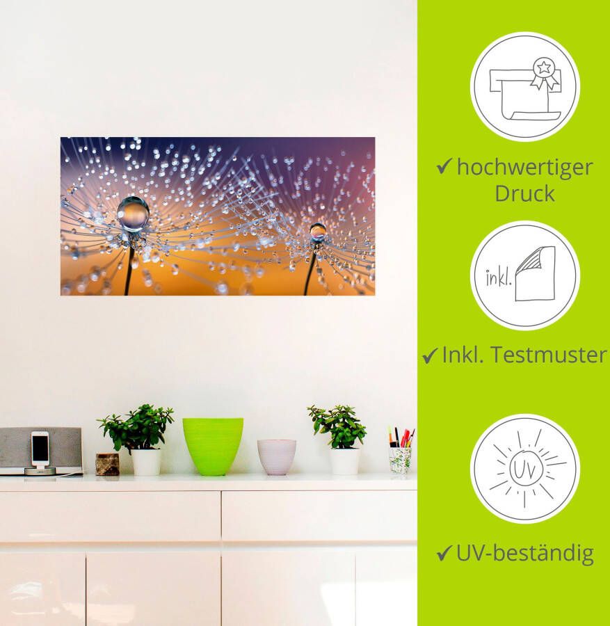 Artland Artprint Paardenbloemen dauwdruppel als artprint van aluminium artprint voor buiten artprint op linnen poster muursticker