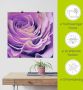 Artland Artprint Paars Roos als artprint op linnen poster in verschillende formaten maten - Thumbnail 6