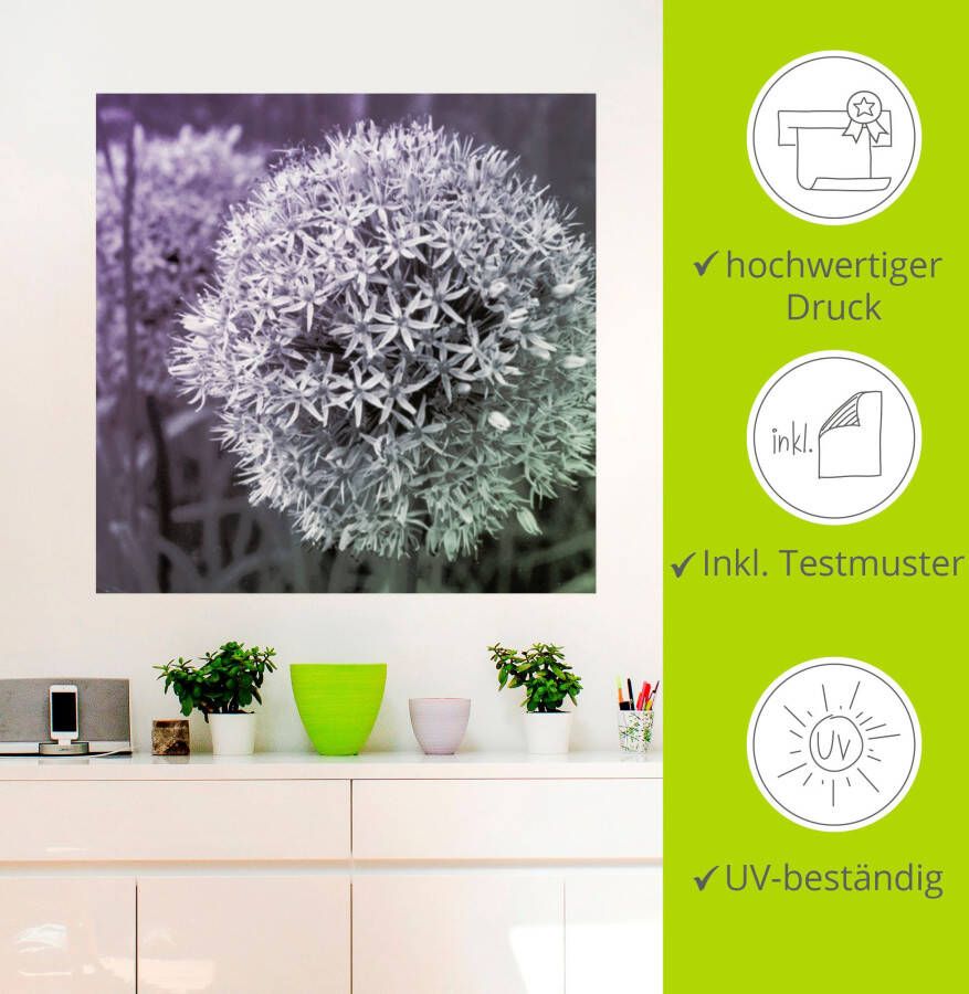 Artland Artprint Paars Sensatie I als artprint van aluminium artprint voor buiten artprint op linnen poster muursticker