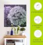 Artland Artprint Paars Sensatie I als artprint van aluminium artprint voor buiten artprint op linnen poster muursticker - Thumbnail 6