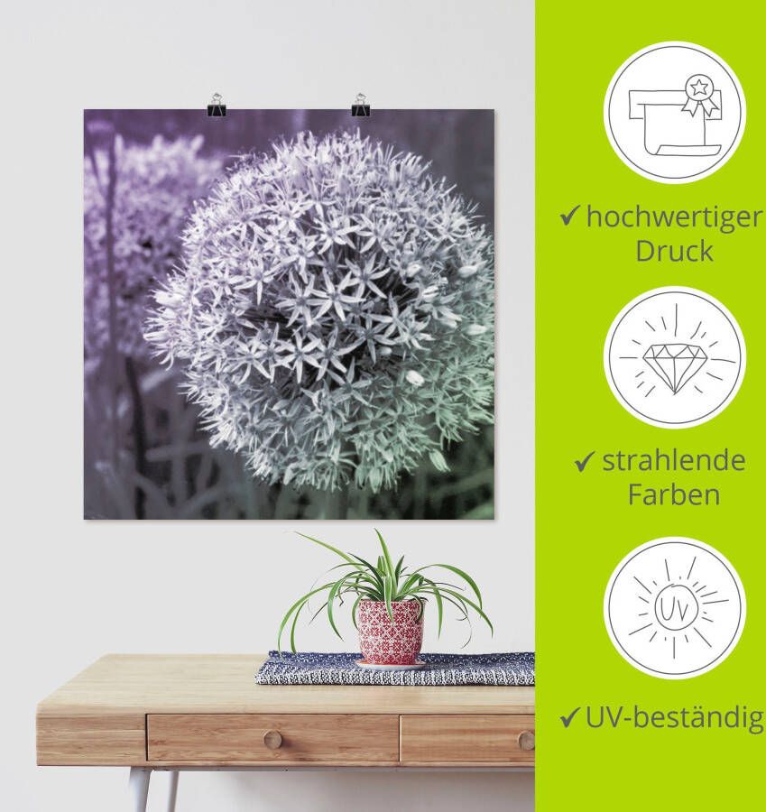 Artland Artprint Paars Sensatie I als artprint van aluminium artprint voor buiten artprint op linnen poster muursticker