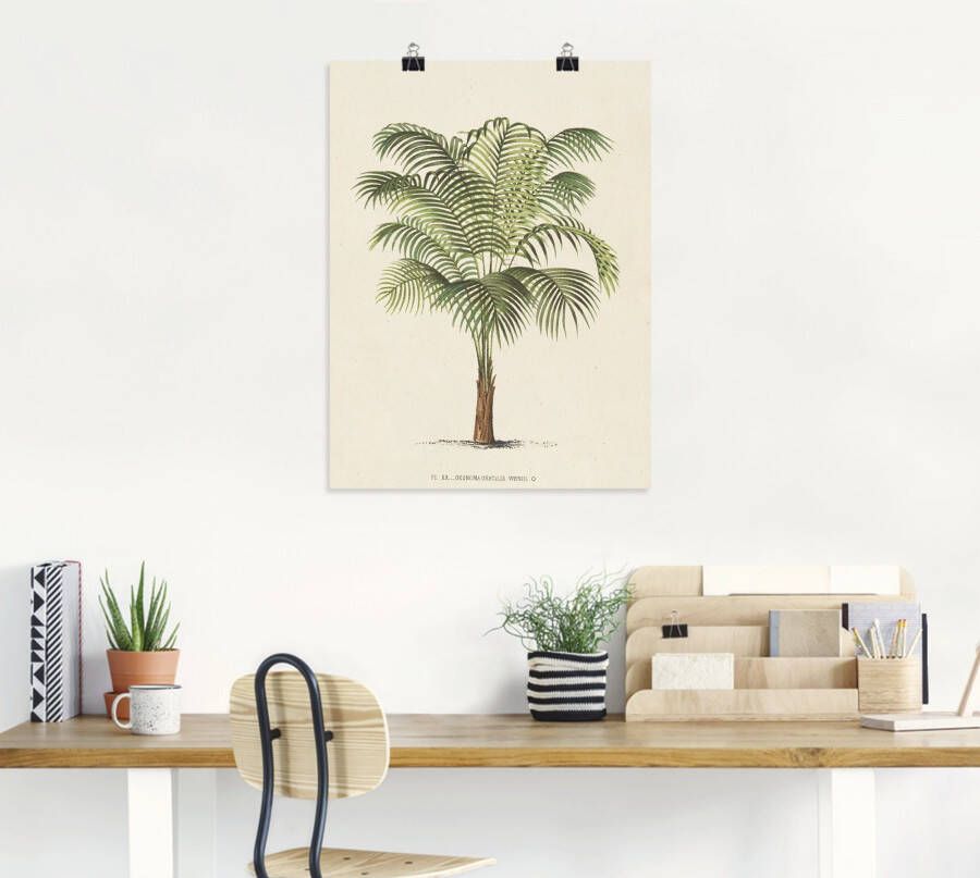 Artland Artprint Palm II als artprint op linnen poster muursticker in verschillende maten