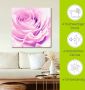 Artland Artprint Pastel Roos als artprint op linnen poster muursticker in verschillende maten - Thumbnail 4