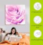 Artland Artprint Pastel Roos als artprint op linnen poster muursticker in verschillende maten - Thumbnail 5