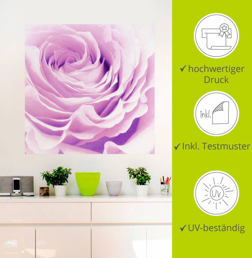 Artland Artprint Pastel Roos als artprint op linnen poster muursticker in verschillende maten