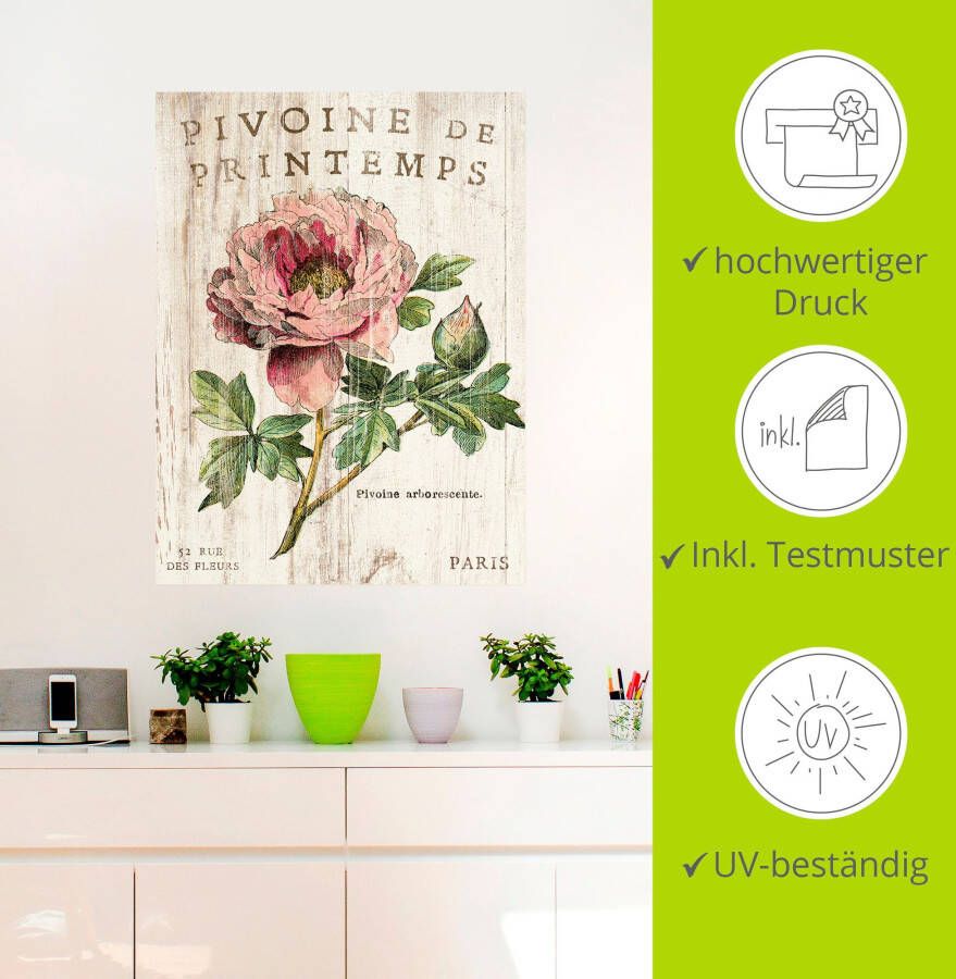 Artland Artprint PIOENROOS als artprint op linnen poster muursticker in verschillende maten