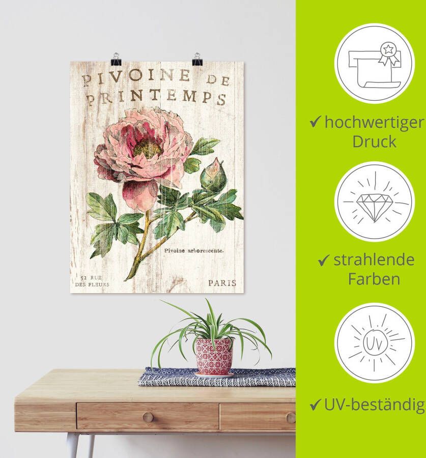 Artland Artprint PIOENROOS als artprint op linnen poster muursticker in verschillende maten