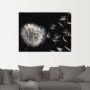 Artland Artprint Pluizenbol als artprint van aluminium artprint voor buiten artprint op linnen poster muursticker - Thumbnail 3