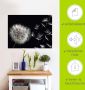 Artland Artprint Pluizenbol als artprint van aluminium artprint voor buiten artprint op linnen poster muursticker - Thumbnail 5