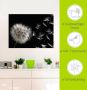 Artland Artprint Pluizenbol als artprint van aluminium artprint voor buiten artprint op linnen poster muursticker - Thumbnail 6