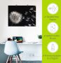 Artland Artprint Pluizenbol als artprint van aluminium artprint voor buiten artprint op linnen poster muursticker - Thumbnail 5