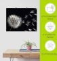 Artland Artprint Pluizenbol als artprint van aluminium artprint voor buiten artprint op linnen poster muursticker - Thumbnail 6