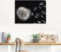 Artland Artprint Pluizenbol als artprint van aluminium artprint voor buiten artprint op linnen poster muursticker - Thumbnail 2