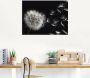 Artland Artprint Pluizenbol als artprint van aluminium artprint voor buiten artprint op linnen poster muursticker - Thumbnail 5