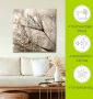 Artland Artprint Pluizenbol dauwdruppel als artprint van aluminium artprint voor buiten artprint op linnen poster muursticker - Thumbnail 5