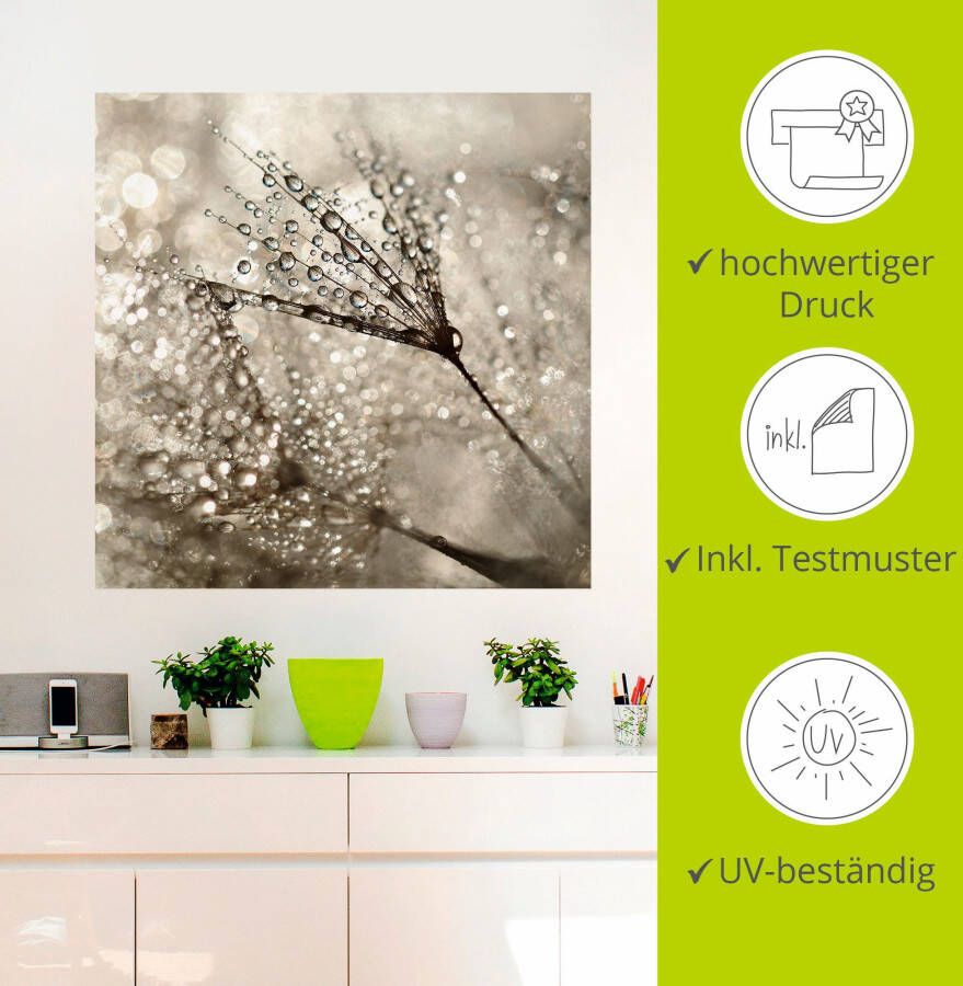 Artland Artprint Pluizenbol dauwdruppel als artprint van aluminium artprint voor buiten artprint op linnen poster muursticker