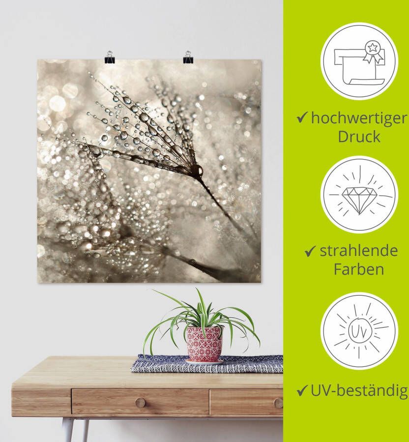 Artland Artprint Pluizenbol dauwdruppel als artprint van aluminium artprint voor buiten artprint op linnen poster muursticker