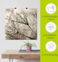 Artland Artprint Pluizenbol dauwdruppel als artprint van aluminium artprint voor buiten artprint op linnen poster muursticker - Thumbnail 5