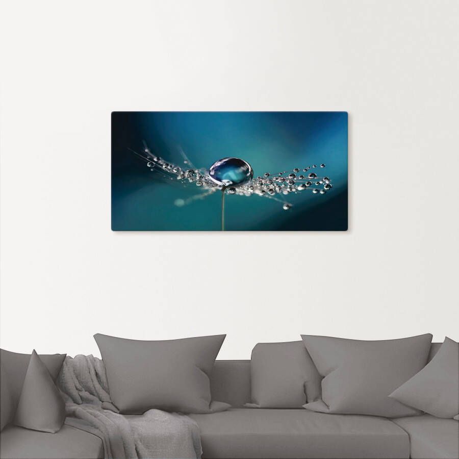 Artland Artprint Pluizenbol dauwdruppel blauw als artprint van aluminium artprint voor buiten artprint op linnen in verschillende maten