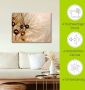 Artland Artprint Pluizenbol gouden druppels als artprint van aluminium artprint voor buiten artprint op linnen poster muursticker - Thumbnail 4