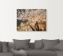 Artland Artprint Pluizenbol goudgloed als artprint van aluminium artprint voor buiten artprint op linnen poster muursticker - Thumbnail 3