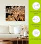 Artland Artprint Pluizenbol goudgloed als artprint van aluminium artprint voor buiten artprint op linnen poster muursticker - Thumbnail 4