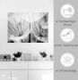 Artland Artprint Pluizenbol in zwart-wit als artprint van aluminium artprint voor buiten artprint op linnen poster muursticker - Thumbnail 4